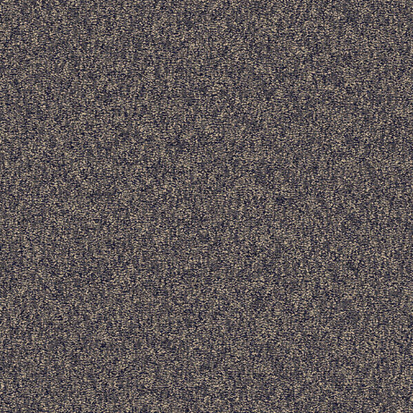 Interface Concrete Mix - Brushed / Bouclée / 50 cm x 50 cm / Bleu