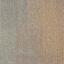 Interface Entropy II / Bouclée / 50 cm x 50 cm / Beige / 1