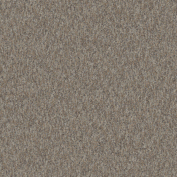 Interface Concrete Mix - Brushed / Bouclée / 50 cm x 50 cm / Marron