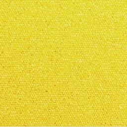 Vous recherchez des dalles de moquette Interface? Heuga 727 dans la couleur Hot Yellow est un excellent choix. Voir ceci et d