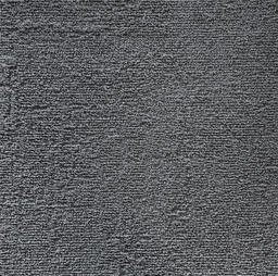 Interface Conscient Trail Doormat / Anti-saleté / 50 cm x 50 cm