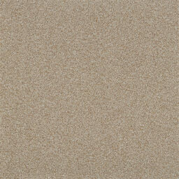 Vous recherchez des dalles de moquette Interface? Heuga 568 dans la couleur Camel est un excellent choix. Voir ceci et d
