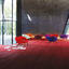 Interface Luxury Living / Velour / 50 cm x 50 cm
