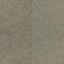 Vous recherchez des dalles de moquette Interface? Human Connection dans la couleur Paver Granite ReCushion est un excellent choix. Voir ceci et d'autres dalles de moquette dans notre boutique en ligne.