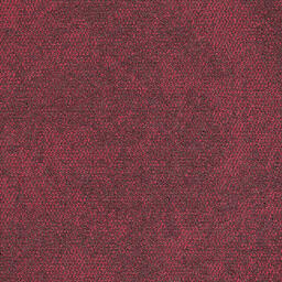 Interface Composure 2nd choice / Bouclée / 50 cm x 50 cm / Rouge